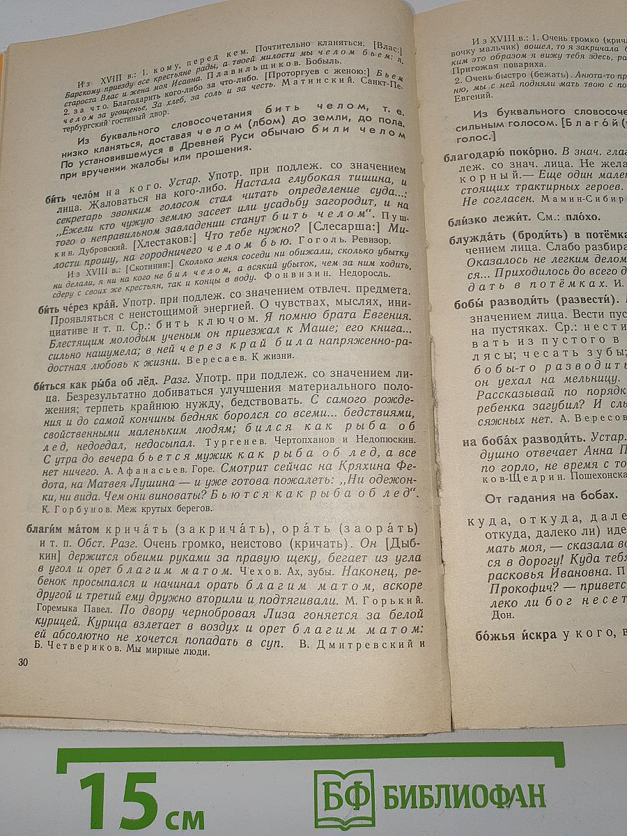 Школьный фразеологический словарь русского языка