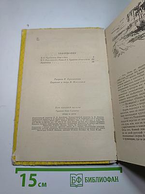 Отцы и дети (для средней школы)