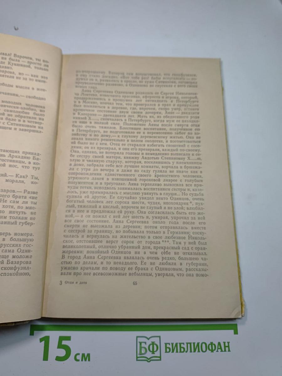 Отцы и дети (для средней школы)