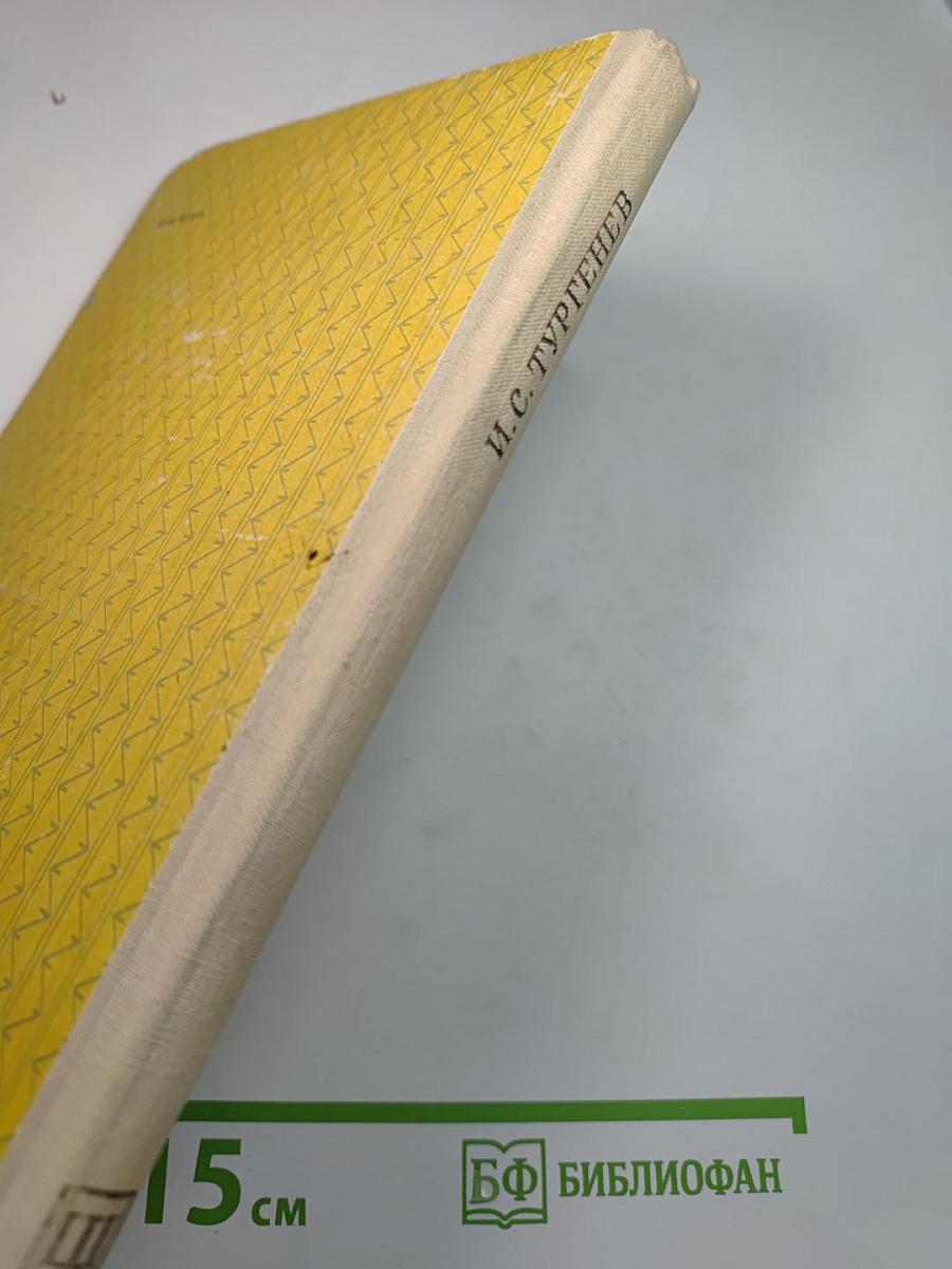 Отцы и дети (для средней школы)