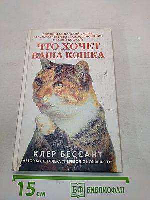 Что хочет ваша кошка