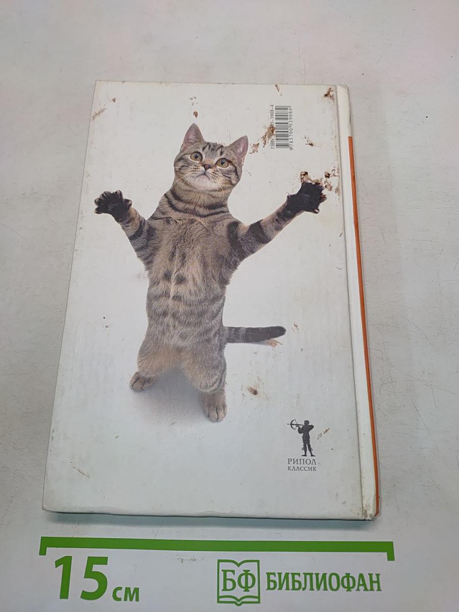 Что хочет ваша кошка