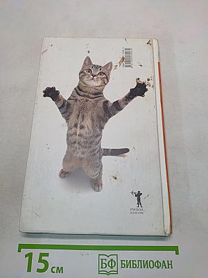 Что хочет ваша кошка
