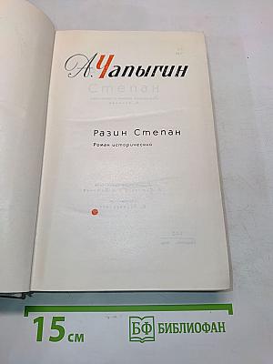 Степан Разин. Роман исторический. Том 3