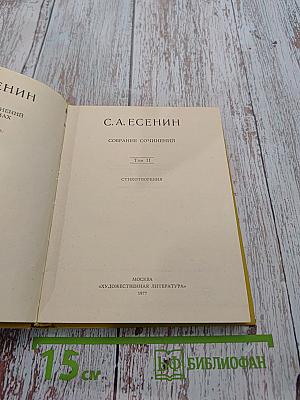 Собрание сочинений. Том II. Стихотворения (1912-1925)