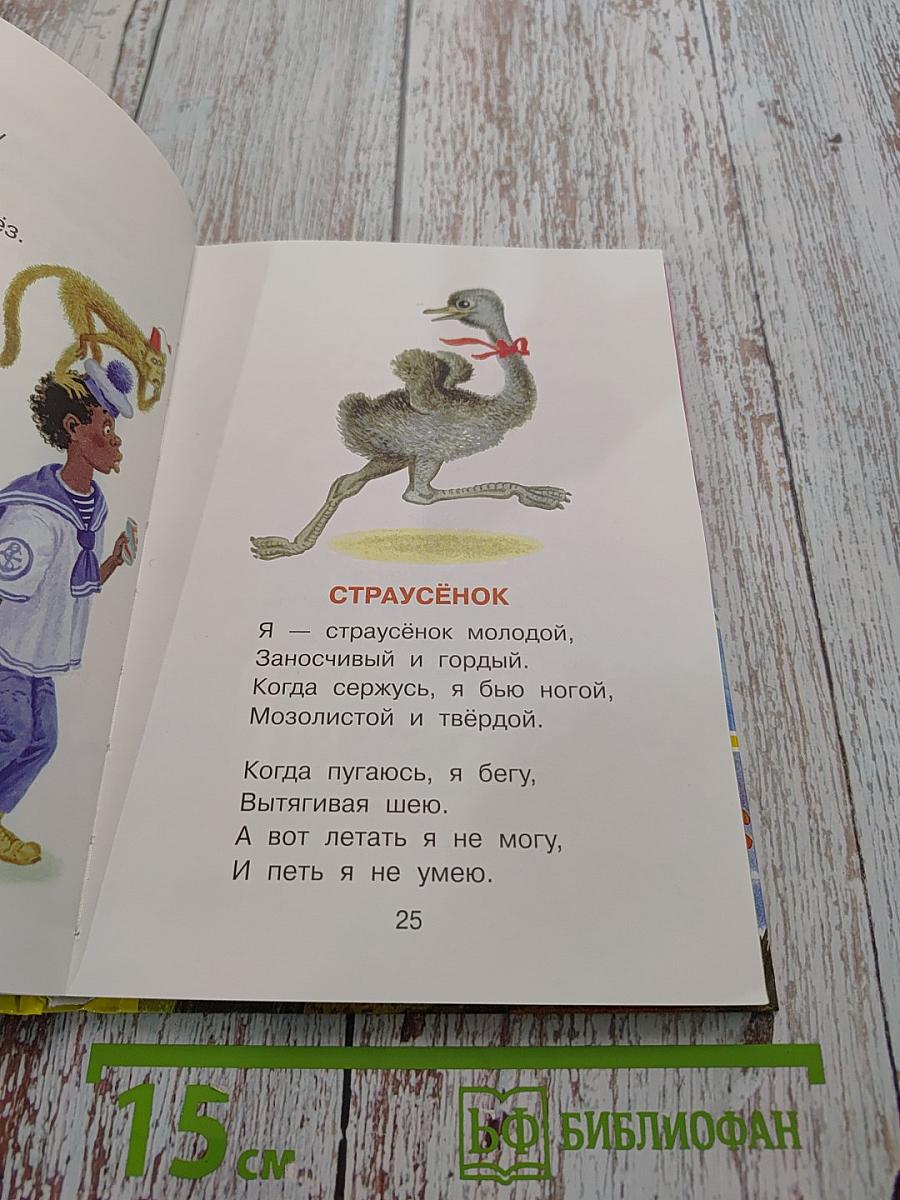 Про любимых усатых-лохматых. Лучшие стихи детям