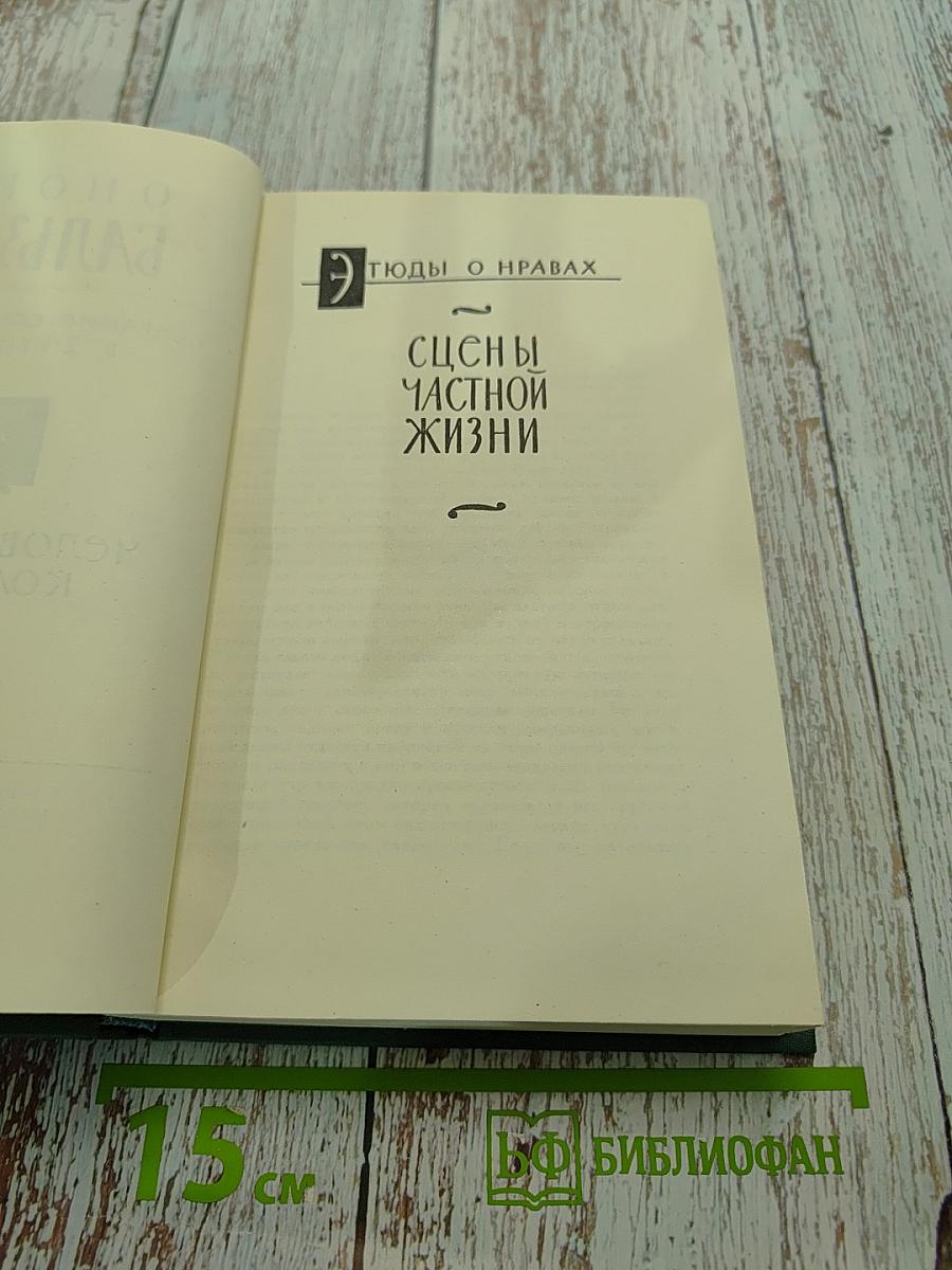 Человеческая комедия. Сцены частной жизни. Том 2