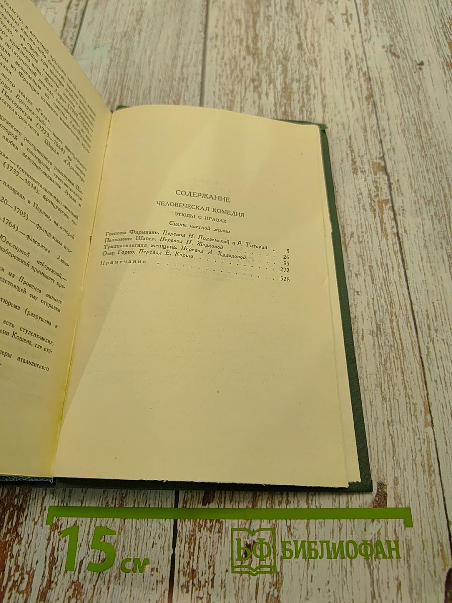 Человеческая комедия. Сцены частной жизни. Том 2