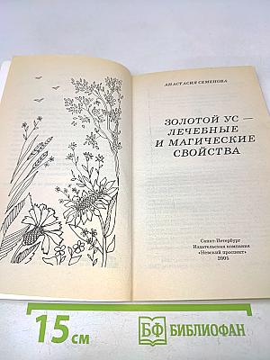 Золотой ус — лечебные и магические свойства