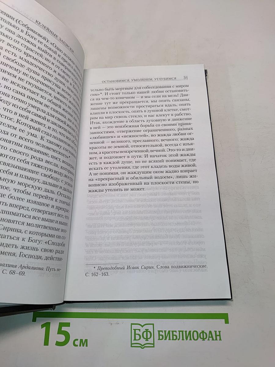 Мучение любви. Келейные записки