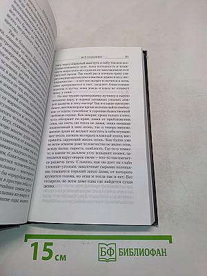 Мучение любви. Келейные записки