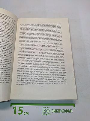 Дом на площади. Синяя тетрадь. Рассказы и очерки. Том 2