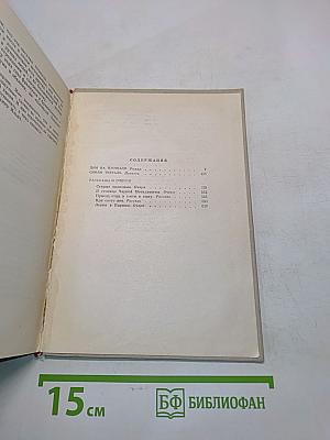 Дом на площади. Синяя тетрадь. Рассказы и очерки. Том 2