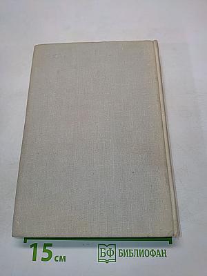 Дом на площади. Синяя тетрадь. Рассказы и очерки. Том 2