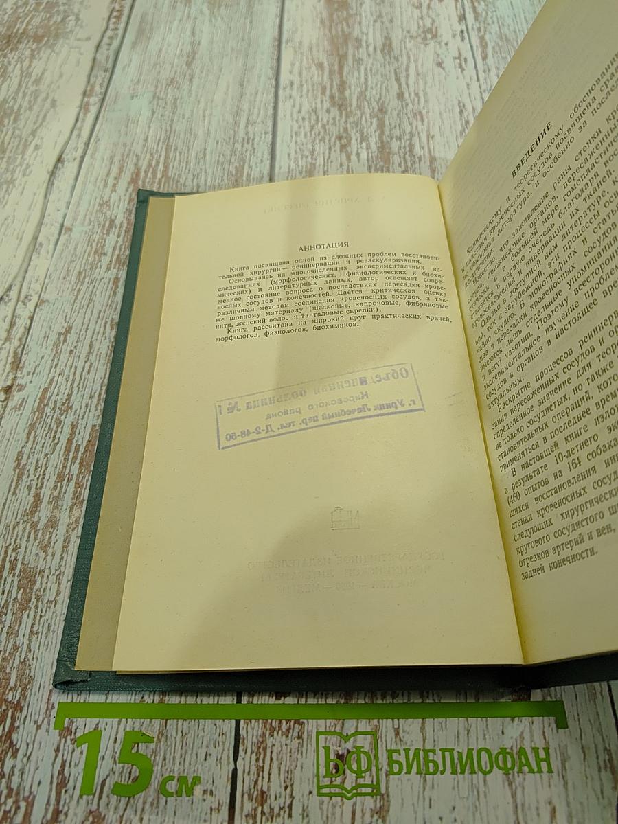 Иннервация и кровоснабжение пересаженных сосудов и конечностей