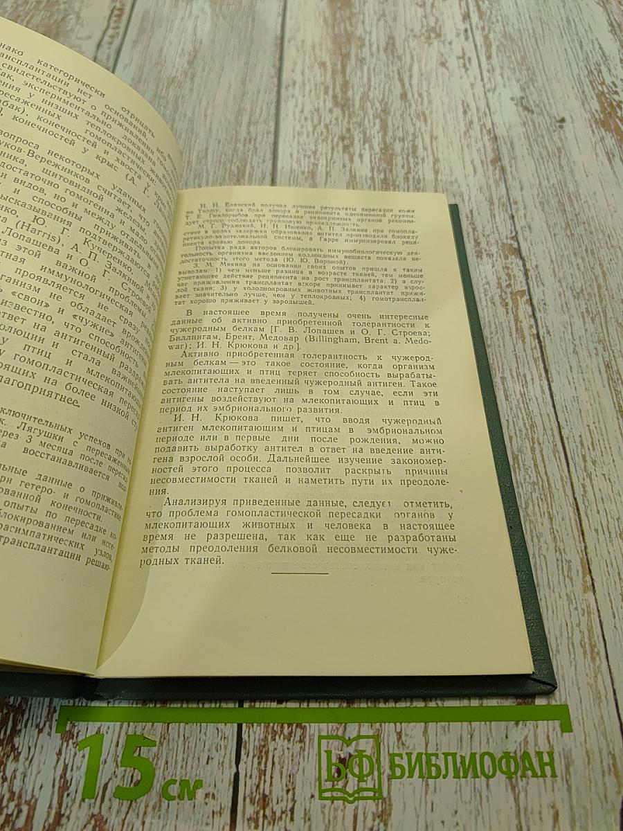 Иннервация и кровоснабжение пересаженных сосудов и конечностей