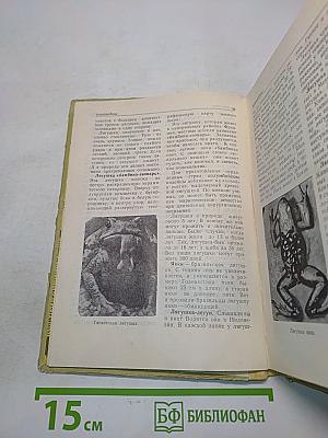 Занимательное в мире животных
