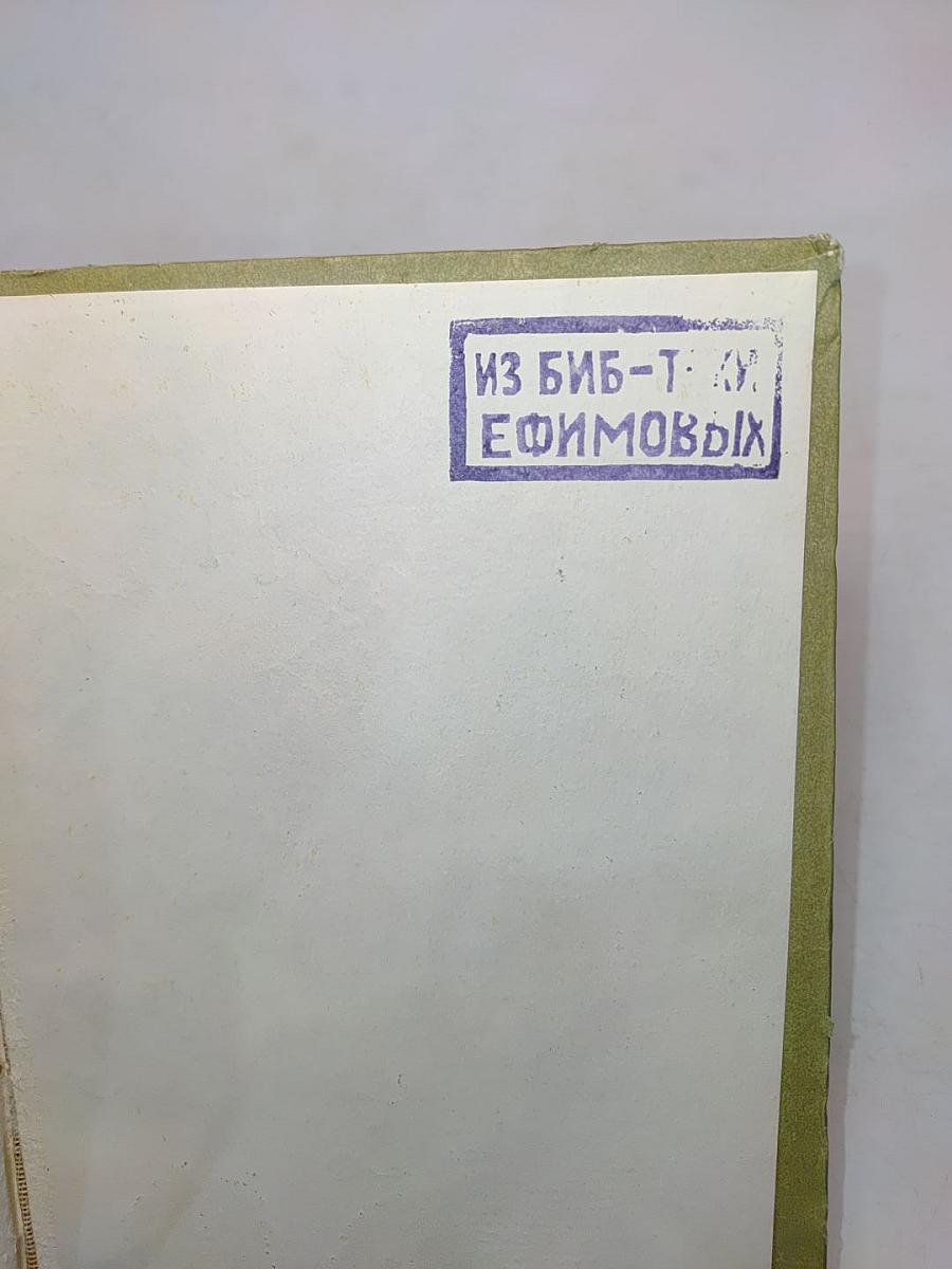 Занимательное в мире животных
