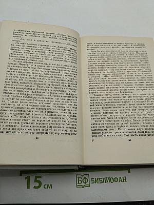 Собрание сочинений. Том десятый. Из Сибири. Остров Сахалин. Фельетоны. Статьи. Записные книжки. Дневники 1892–1904