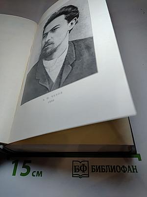 Собрание сочинений. Том 11: Письма 1877-1892