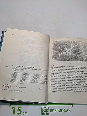 В лучах прожекторов