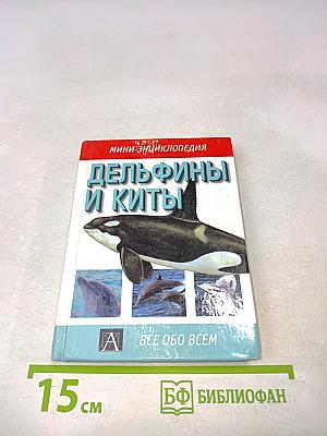 Дельфины и киты