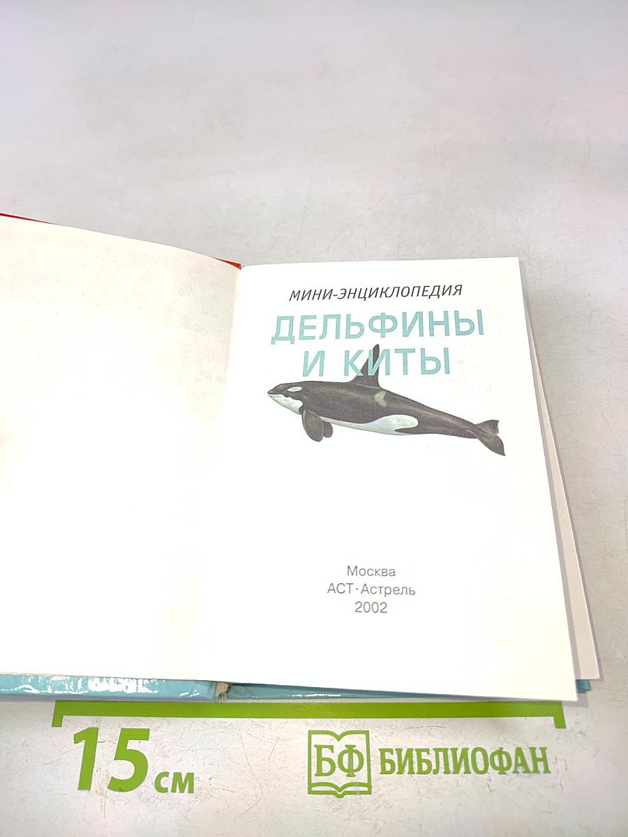 Дельфины и киты