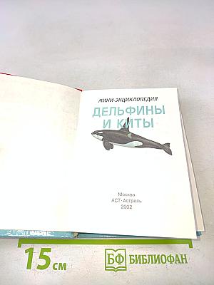 Дельфины и киты