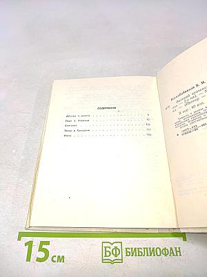 Великий врачеватель