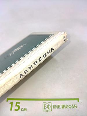 Великий врачеватель