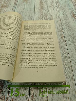 Толкование на Послания Святого Апостола Павла. Книга 2