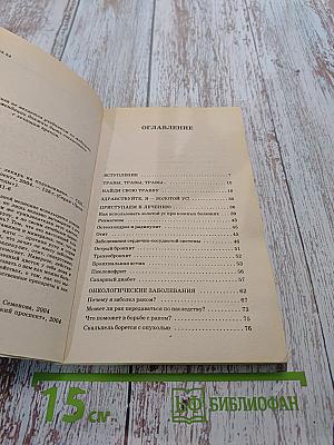 Золотой ус — лекарь на подоконнике