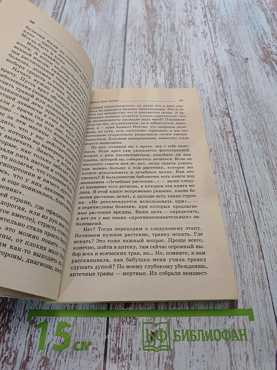 Золотой ус — лекарь на подоконнике