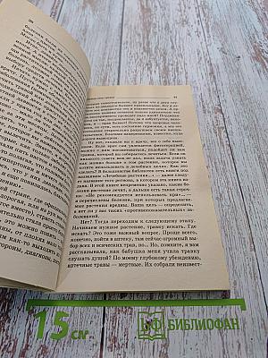 Золотой ус — лекарь на подоконнике