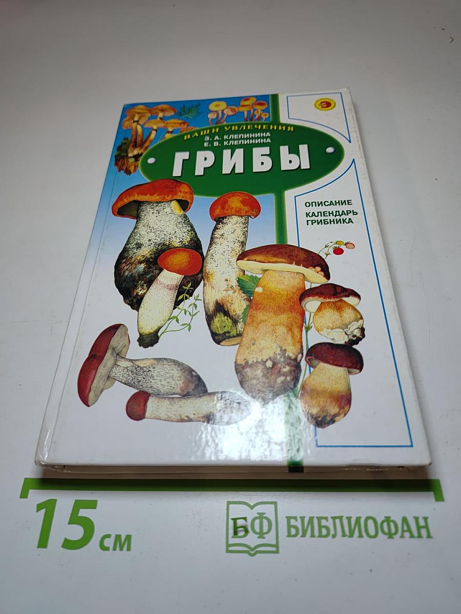 Грибы