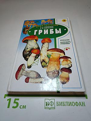 Грибы