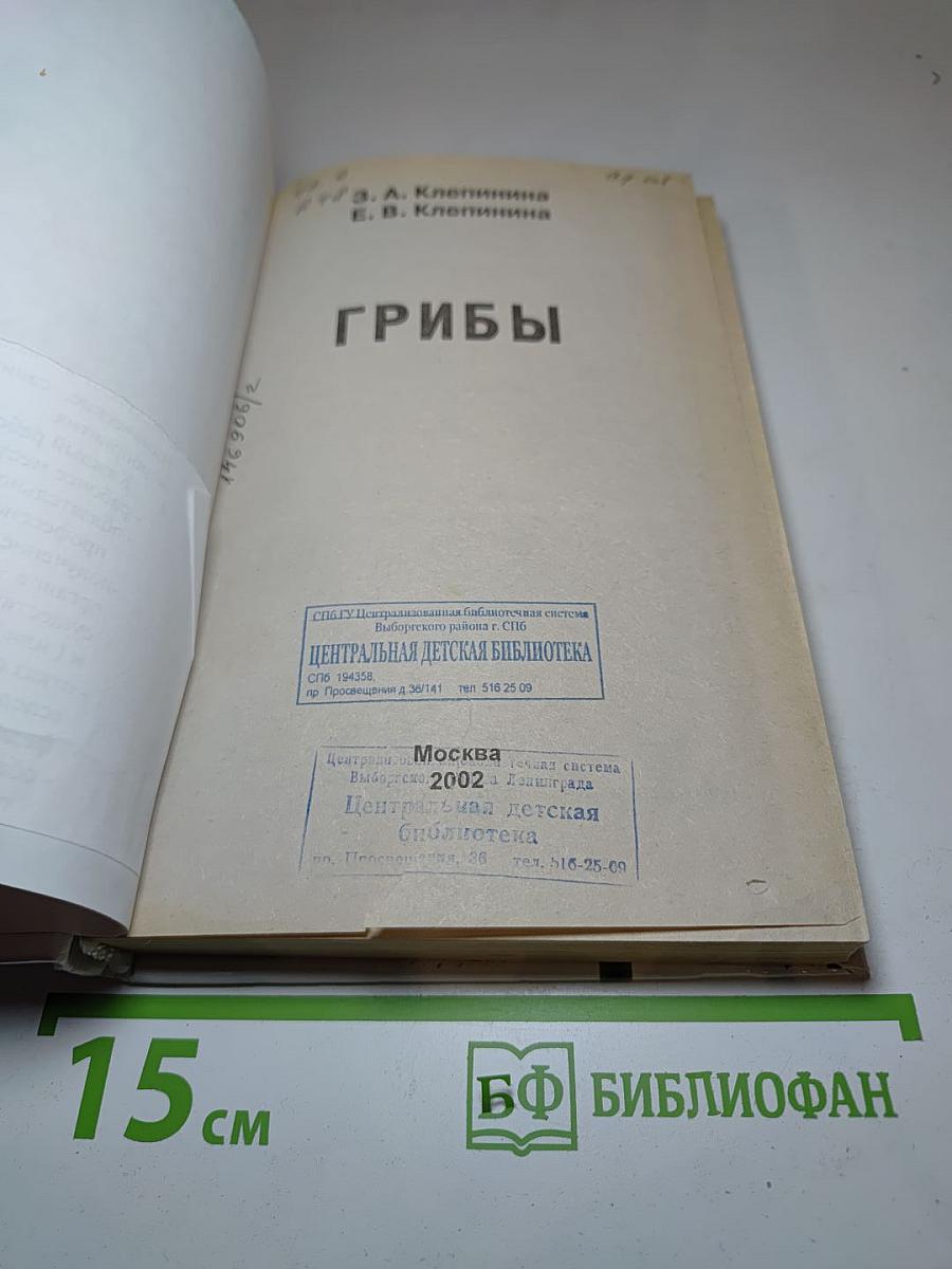 Грибы