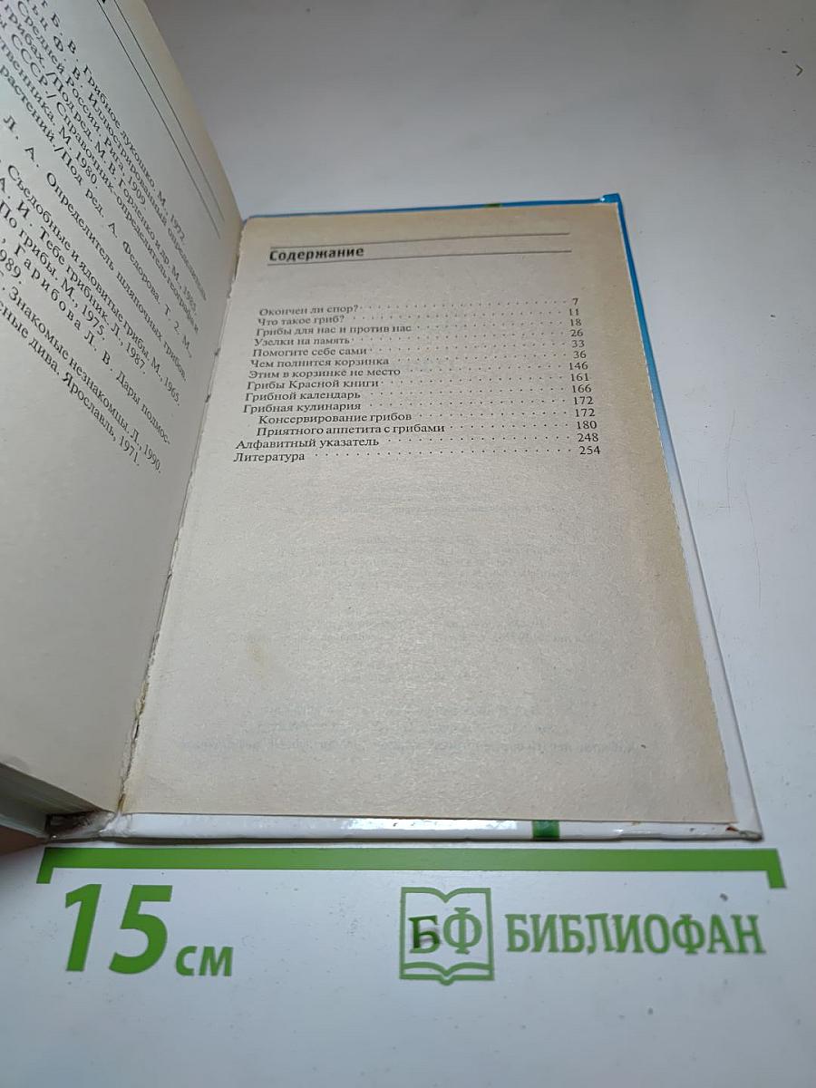 Грибы