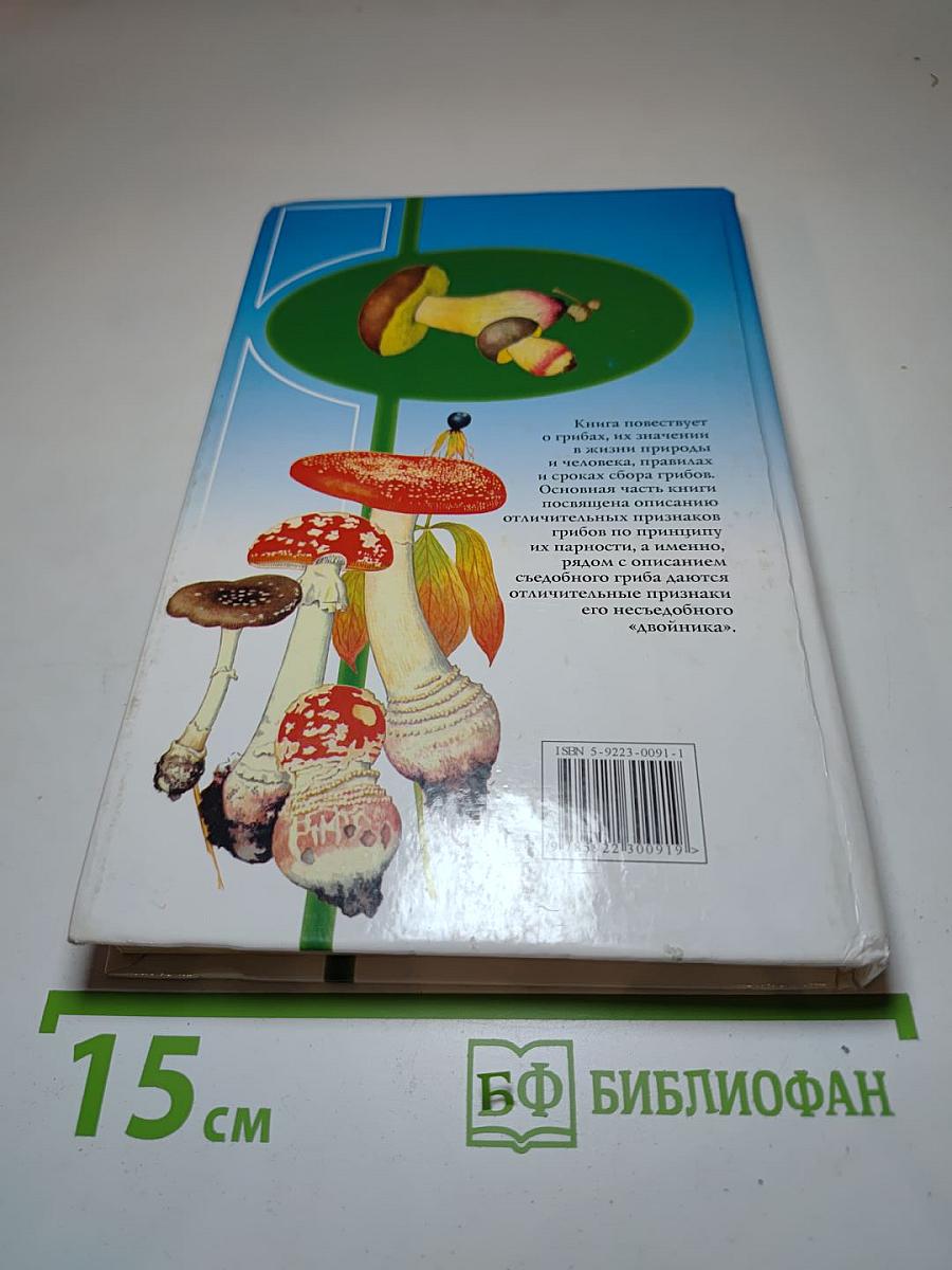 Грибы