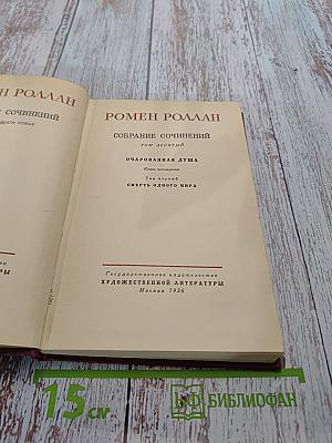 Собрание сочинений. Том десятый. Очарованная душа. Том первый. Смерть одного мира