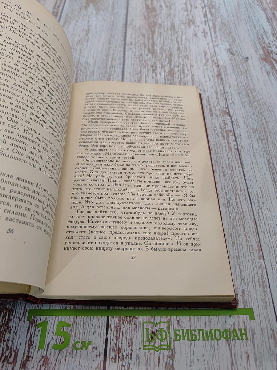 Собрание сочинений. Том десятый. Очарованная душа. Том первый. Смерть одного мира
