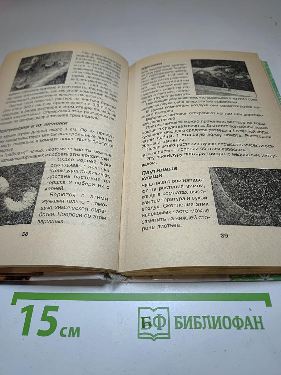 Комнатные растения Для девочек