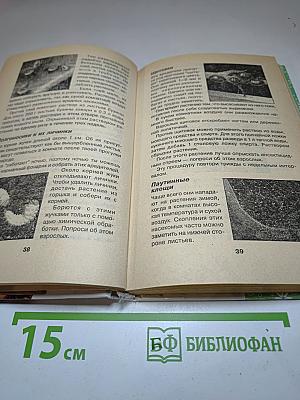 Комнатные растения Для девочек
