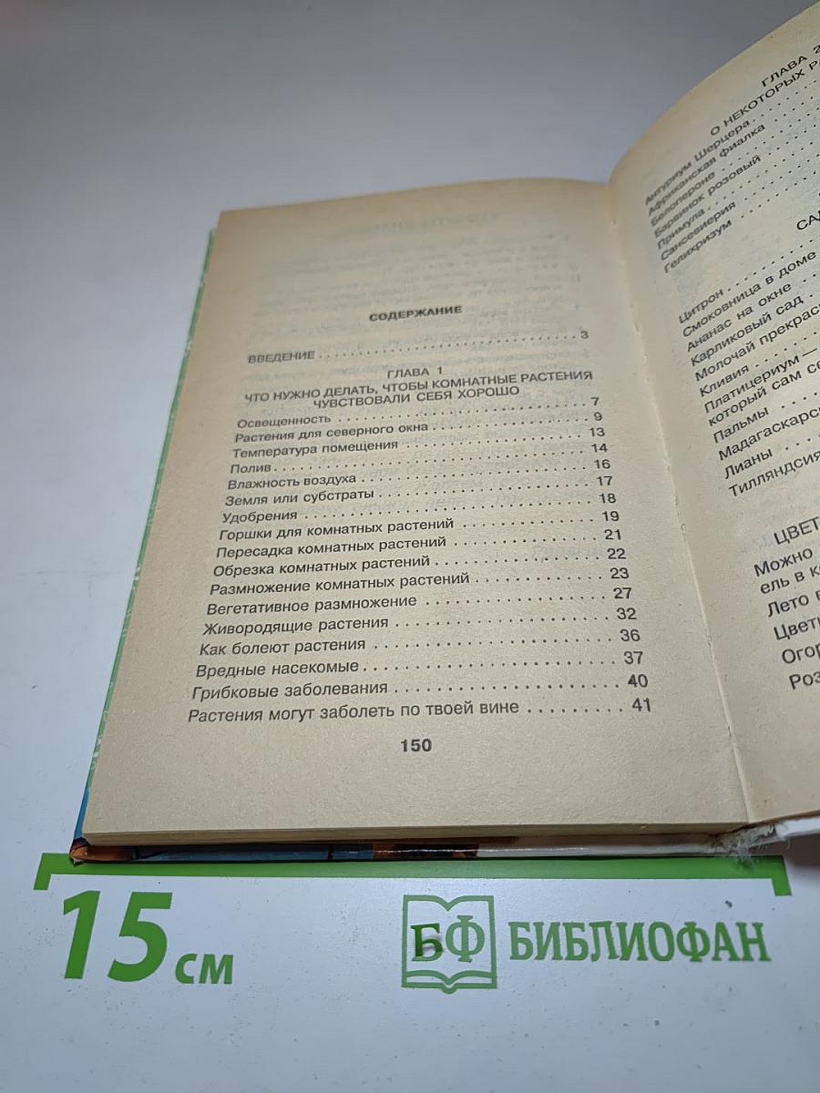 Комнатные растения Для девочек