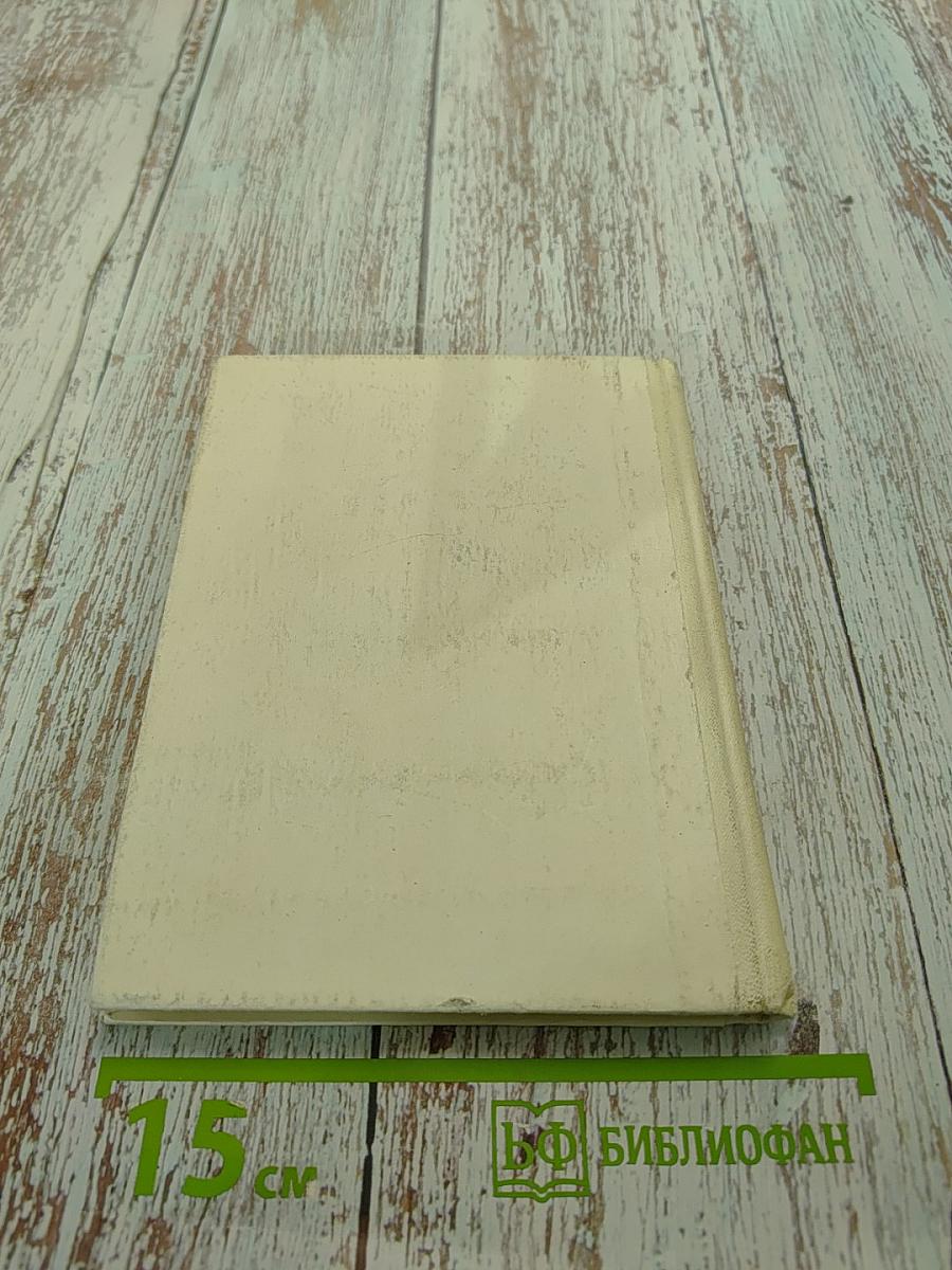 Рыцарь книги