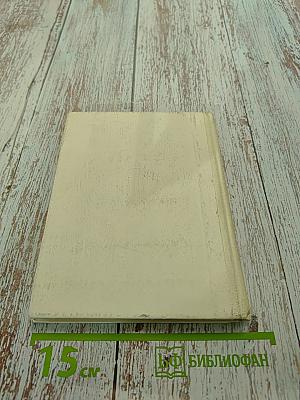Рыцарь книги