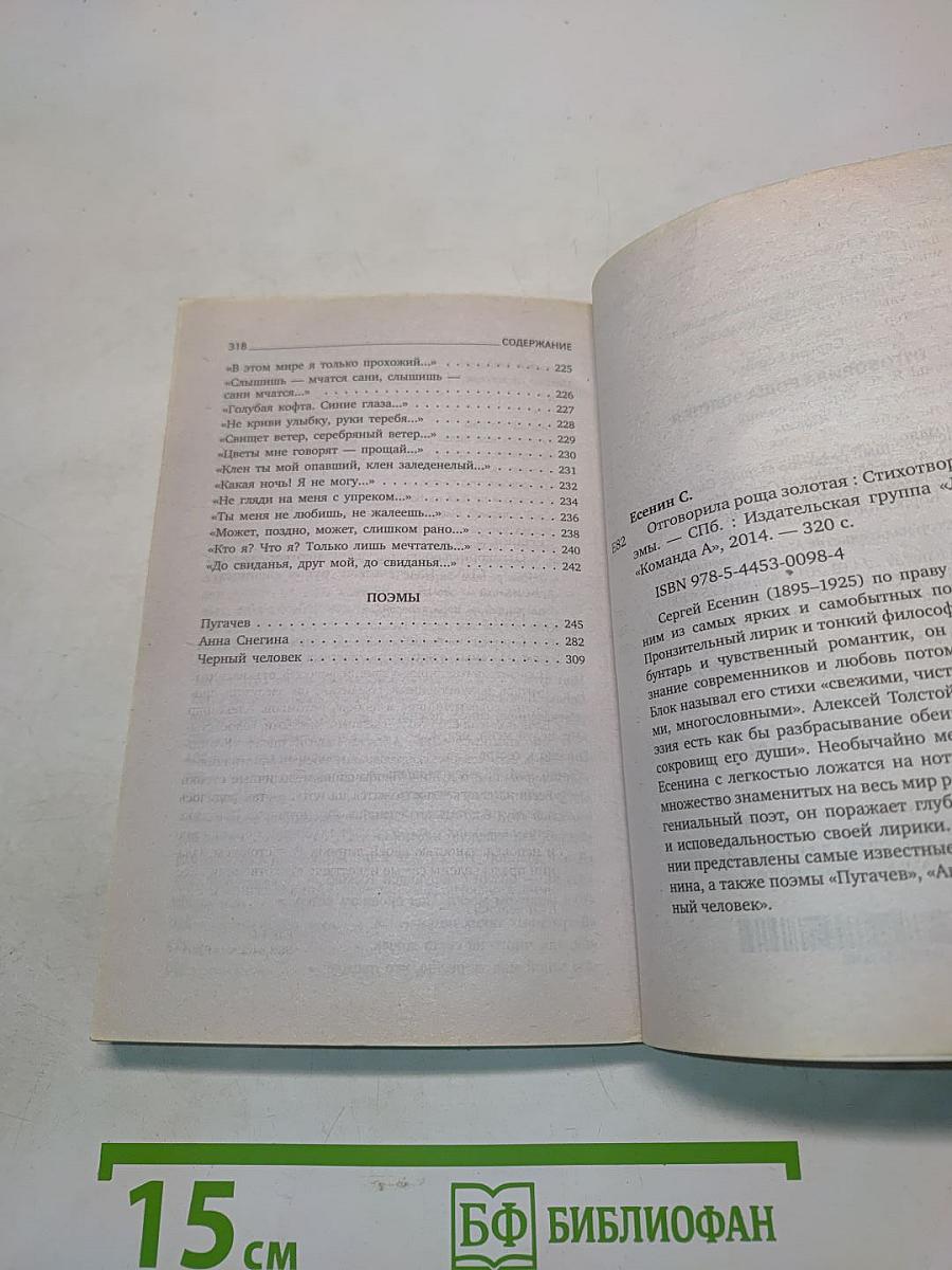 Отговорила роща золотая. Стихотворения. Поэмы