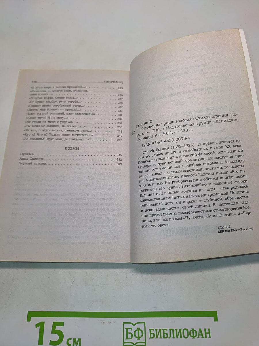 Отговорила роща золотая. Стихотворения. Поэмы