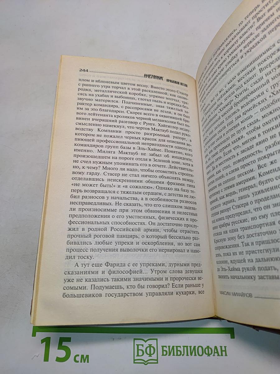 Наемник. Арабская петля