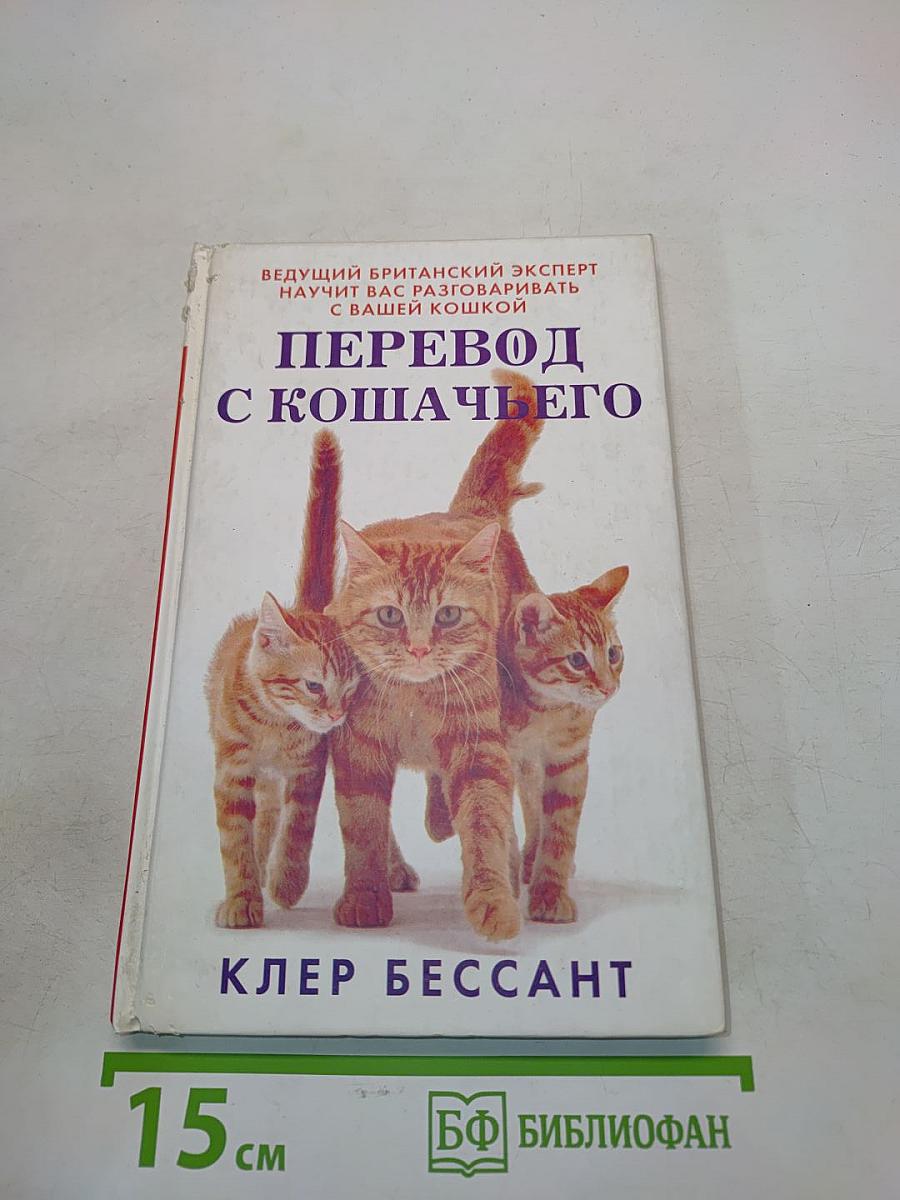 Перевод с кошачьего. Научите вас разговаривать с вашей кошкой